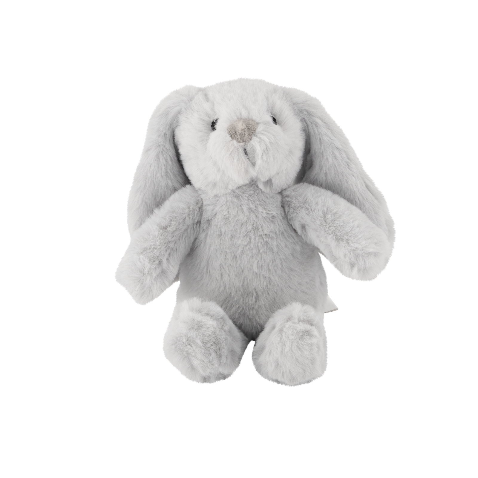 Fluffy Bunny