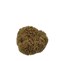 Sea Sponge  Natural Mediterranean