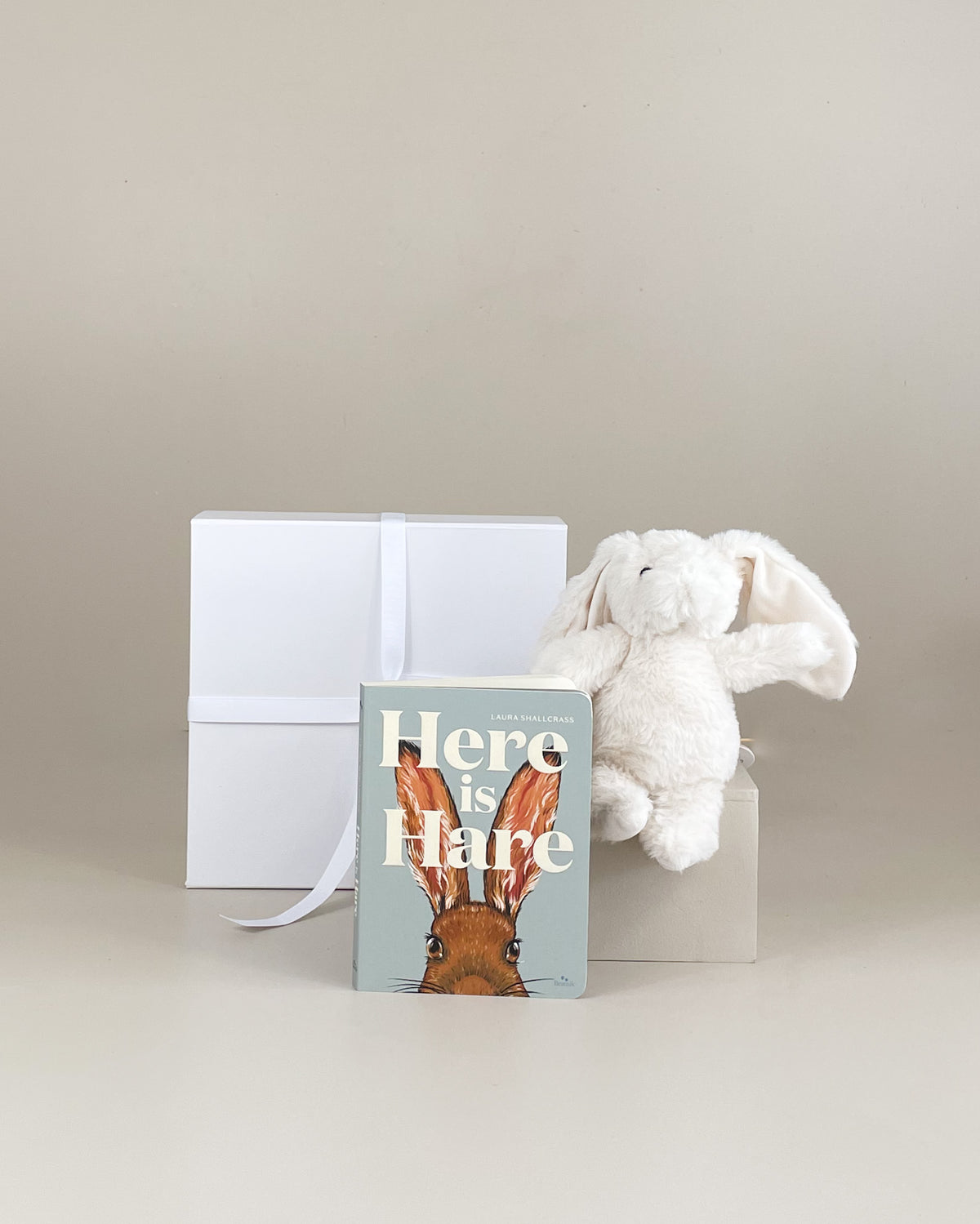 New Zealand children’s storybook Here is Hare, illustrated bedtime reading book for young children.
