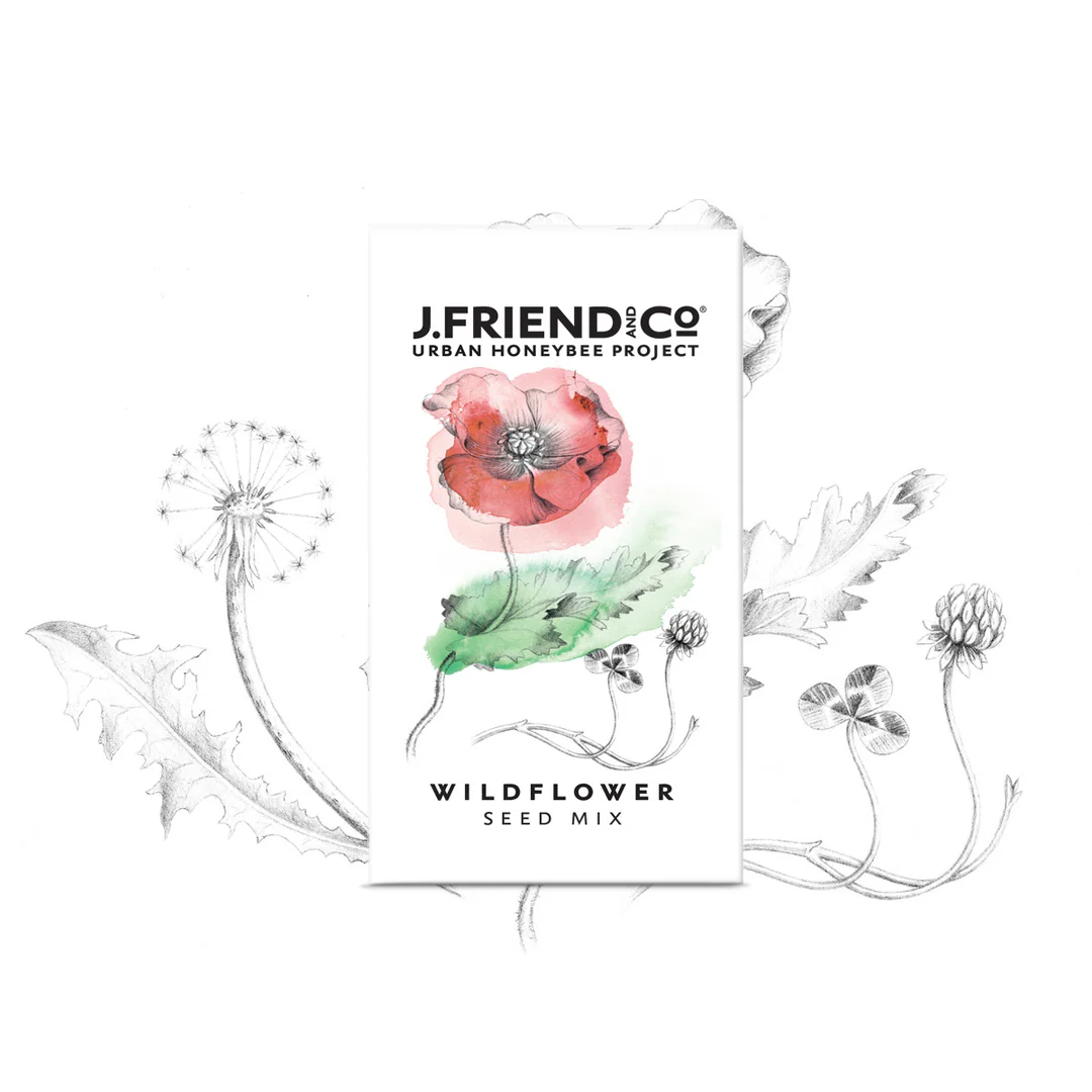 Bee friendly wildflower seed mix designed to attract honeybees and support pollinators in home gardens.