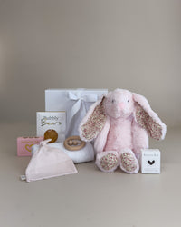 Deluxe Baby Girl Newborn Gift Box