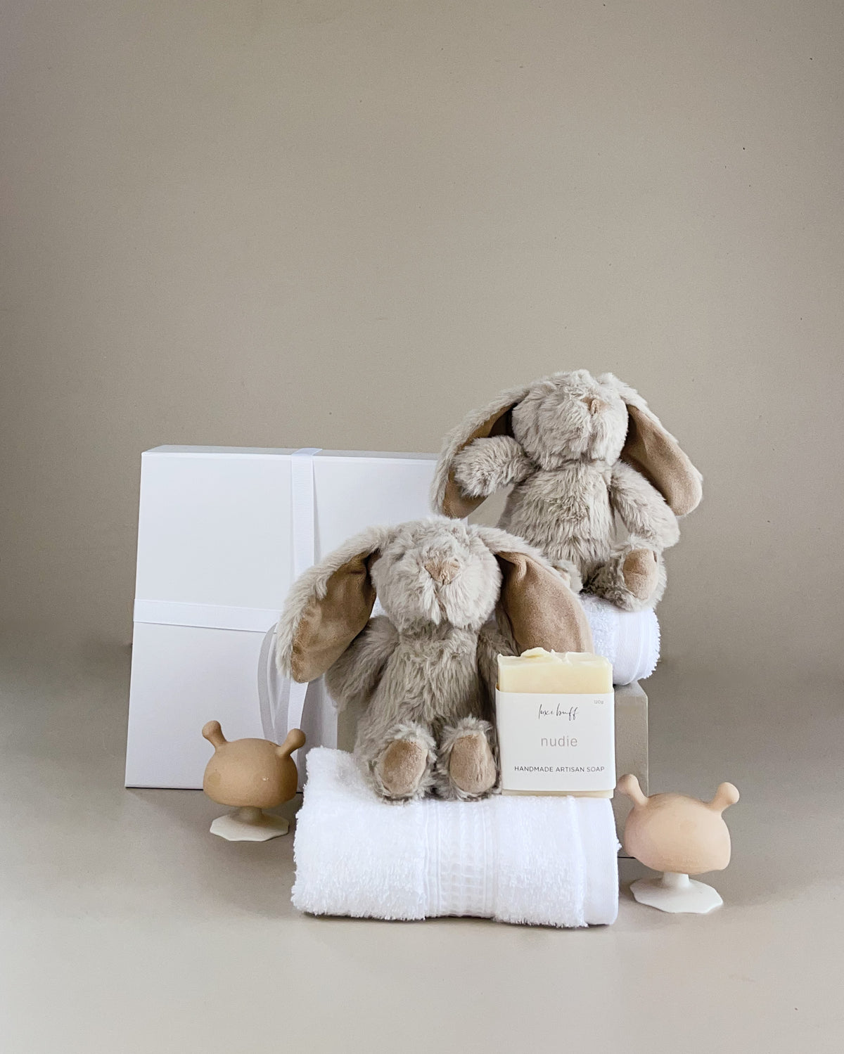 Newborn Twins Gift Box