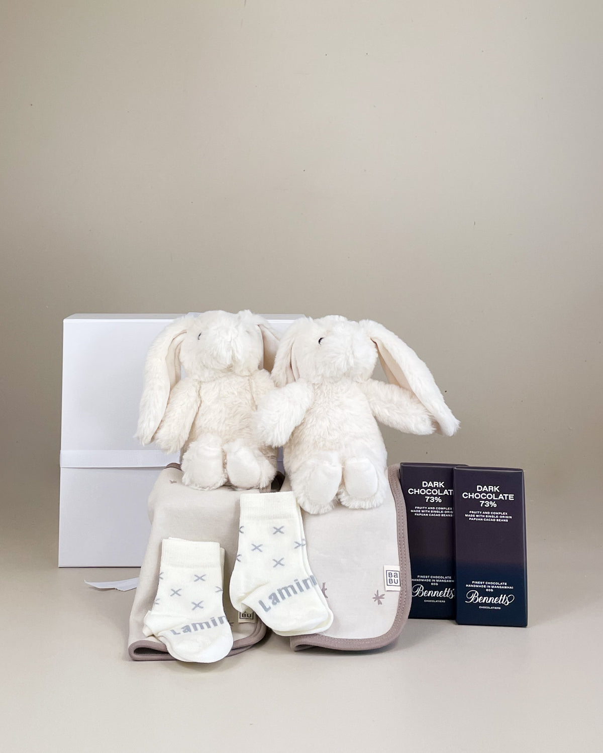 Newborn Twins Gift Box