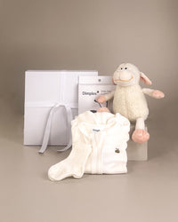 Sleeping Baby Gift Box